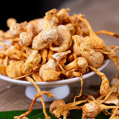 散装干货孢子头蛹虫草 农产品北排草