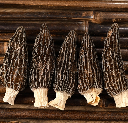 头茬羊肚菌干货 煲汤食材羊肚菌