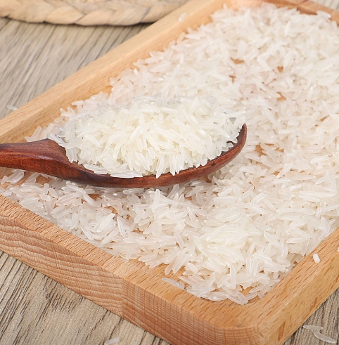 香稻米 新米大米整箱粮油农产品